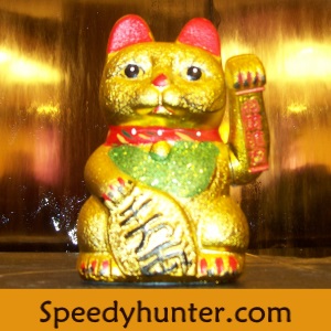 Speedy helps you find business services fast.